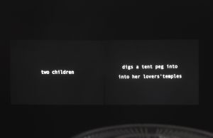 Vue de l’exposition *Je leur mens. Basé sur une histoire vraie*, audtorium du Magasin-CNAC, 9 juin – 1 septembre 2013. Agnès Geoffray, *Short Stories*, 2011, double projection de diapositives. Photo&thinsp;: Blaise Adilon